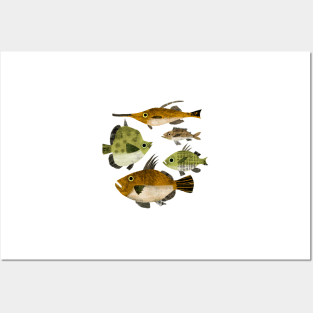 Rake Fish Posters and Art